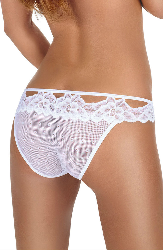 Roza Falka Brief